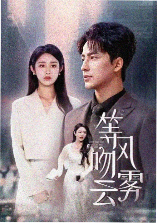 悬疑探案剧集